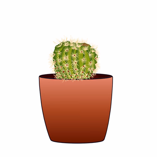 Plant Babies