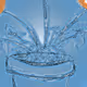 Plant of the Future