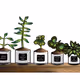 PLANT COMMITTEE