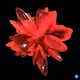 Plasma flower