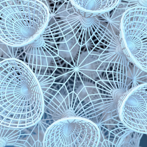 platonic individuals