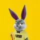 Playboy Rabbitars 