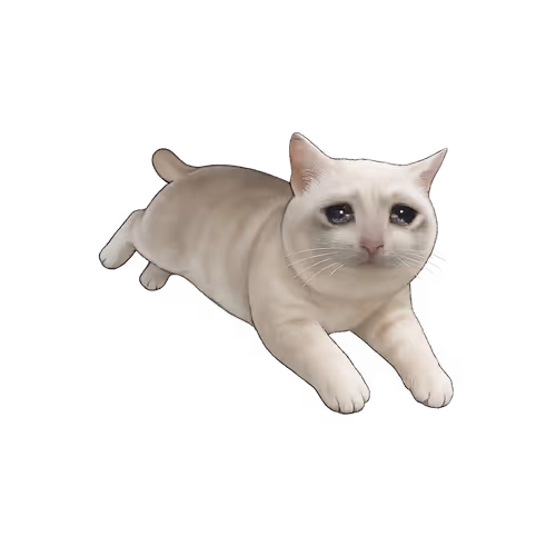 playCashcat