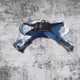 Playing in the Snow with Lee