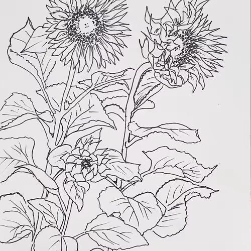 a lot flowers