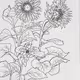 a lot flowers