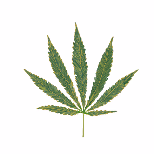 Piet Mondrian x Manuripto