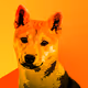 Pocket SHIBs - old
