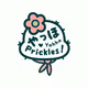 Pocki Series
