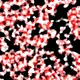 POINT Noise