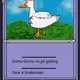 Pokeduck Card - old - old - old