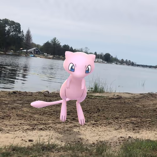 Pokemon in real life - old