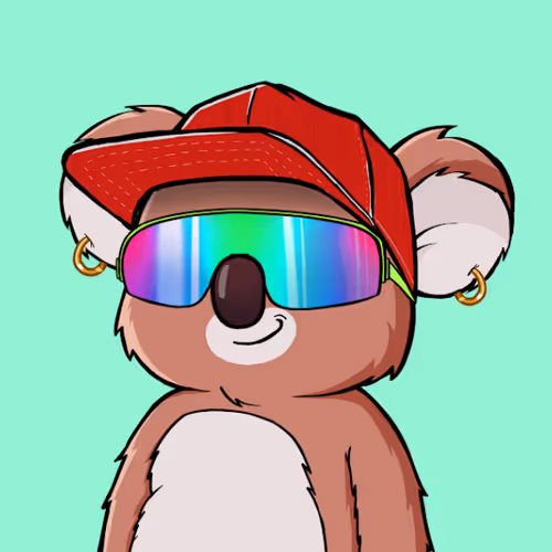 Poly Koala | Honest Club