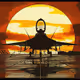 PolyArt Planes Trains and Automobiles Collection