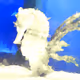 PolyFauna+