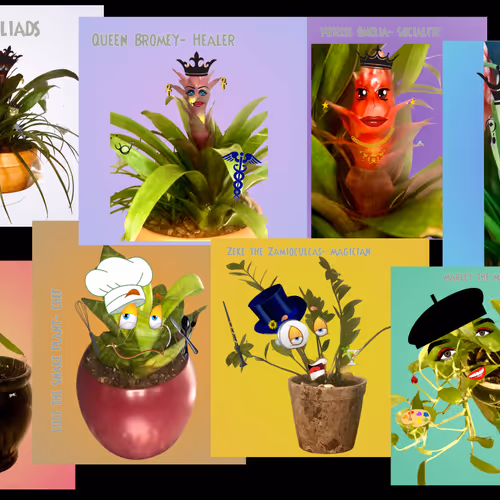 Polygo'n' Planted Personalities