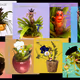 Polygo'n' Planted Personalities