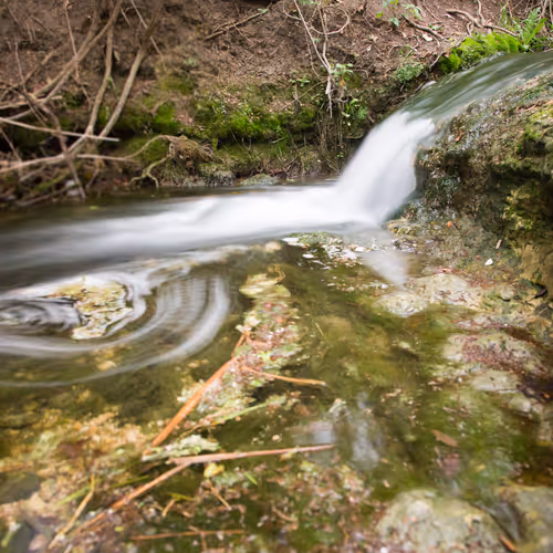 NFT Videos! 4K Time-Lapse Nature Videos