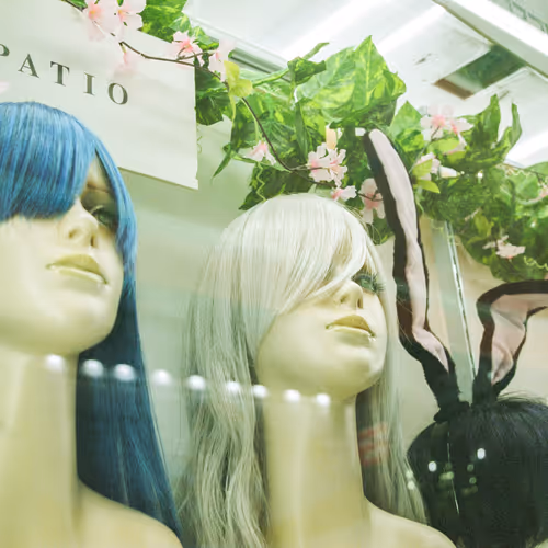 Polygon photograph collection