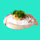 Polygon Sushi Collection