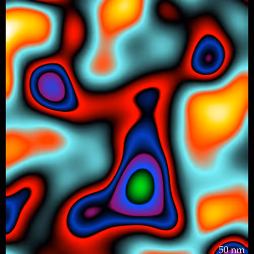 Polycreatures of the Nanosea