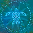 PolynesianScreenTattoo - old