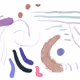 polyRandomatic