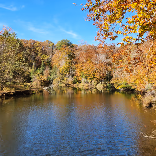 Polyvisual Photomatic