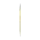 Polyzoid - old