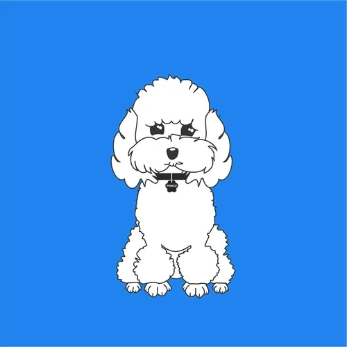 Poodle Cool