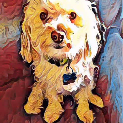 Poodle Doodles - old