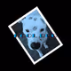 Pool Dog ------> Charity Sell
