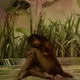 Pool of Jungle