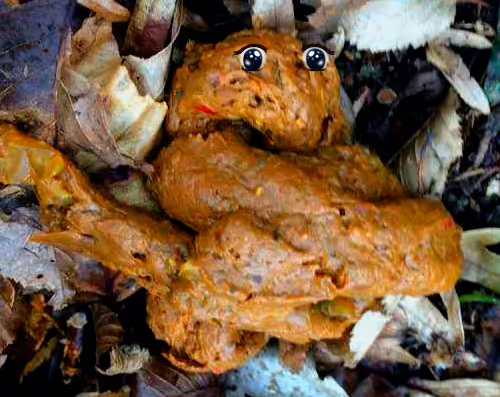 POOP PARTY