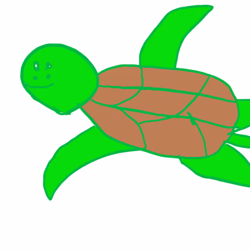 Poorly Drawn Turtle's