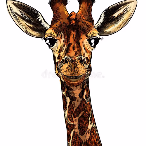 pop art giraffe