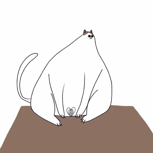 Pop pussy cat