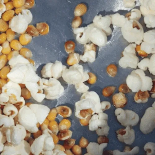 POPCORN POPS