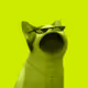 PopHoodCat