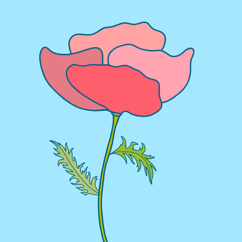 Poppy 1