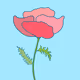 Poppy 1