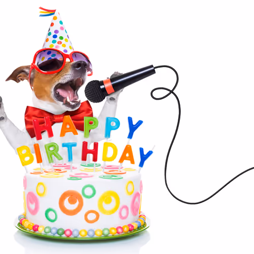 Portrait of the world