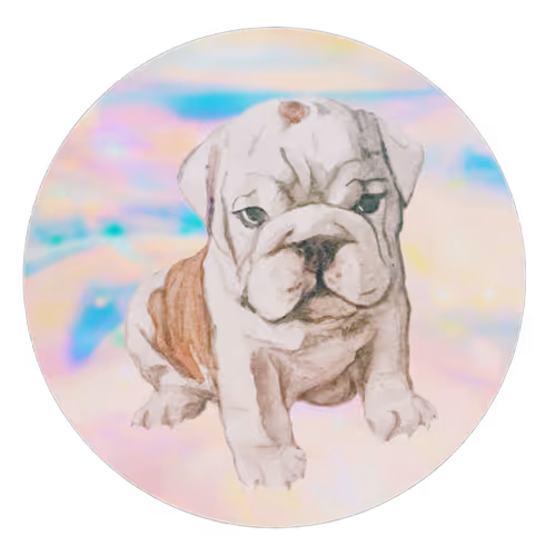 portraits of puppies