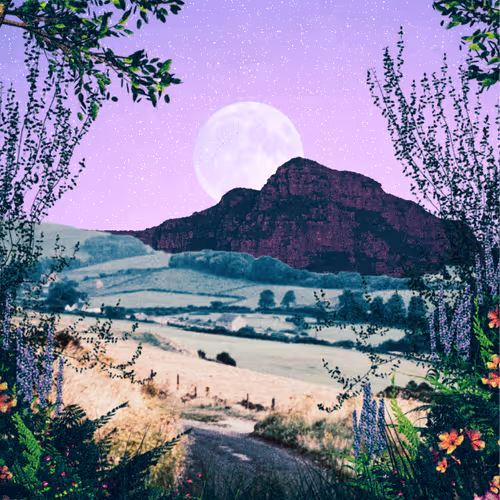 POST WOOK Limited Editions - old