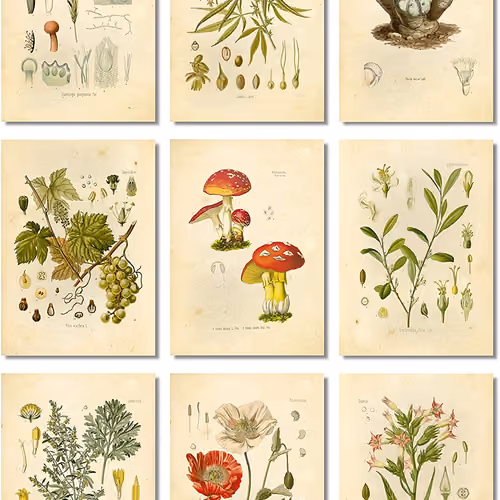 Potent Plants