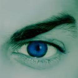 Marcador de posición de elemento multimedia