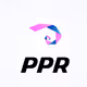 PPR Digifinds