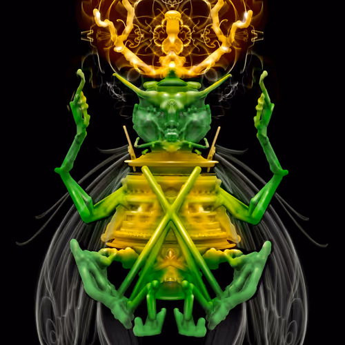 Praying Matrix