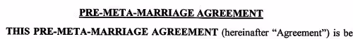 Pre-Meta-Marriage Agreement