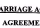 Pre-Meta-Marriage Agreement